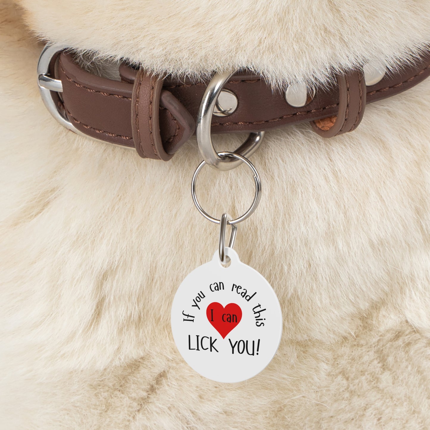 Funny Dog Tag "If you can read this I can lick you!" (1 inch)