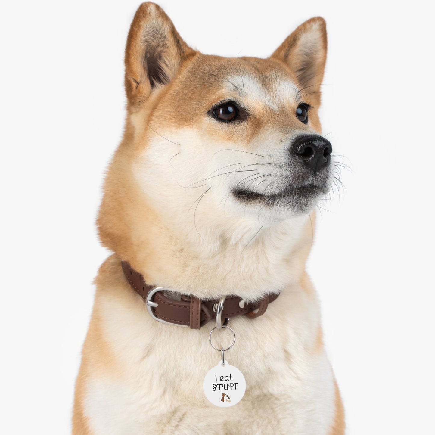 Funny Dog Tag "I Eat Stuff" (1 inch)