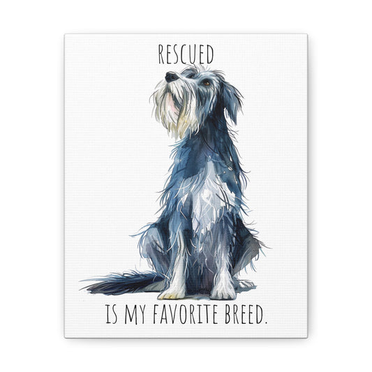 Canvas Gallery Wrap - Shaggy Dog Collection - Rescued Is My Favorite Breed