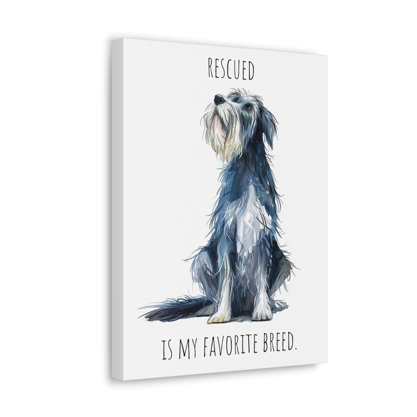 Canvas Gallery Wrap - Shaggy Dog Collection - Rescued Is My Favorite Breed