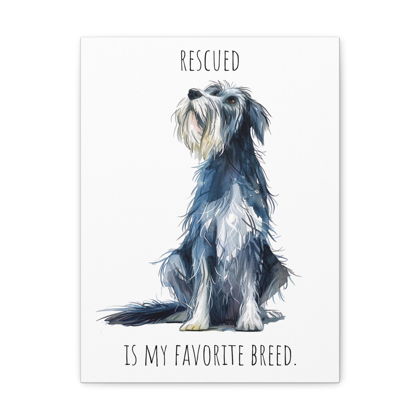 Canvas Gallery Wrap - Shaggy Dog Collection - Rescued Is My Favorite Breed