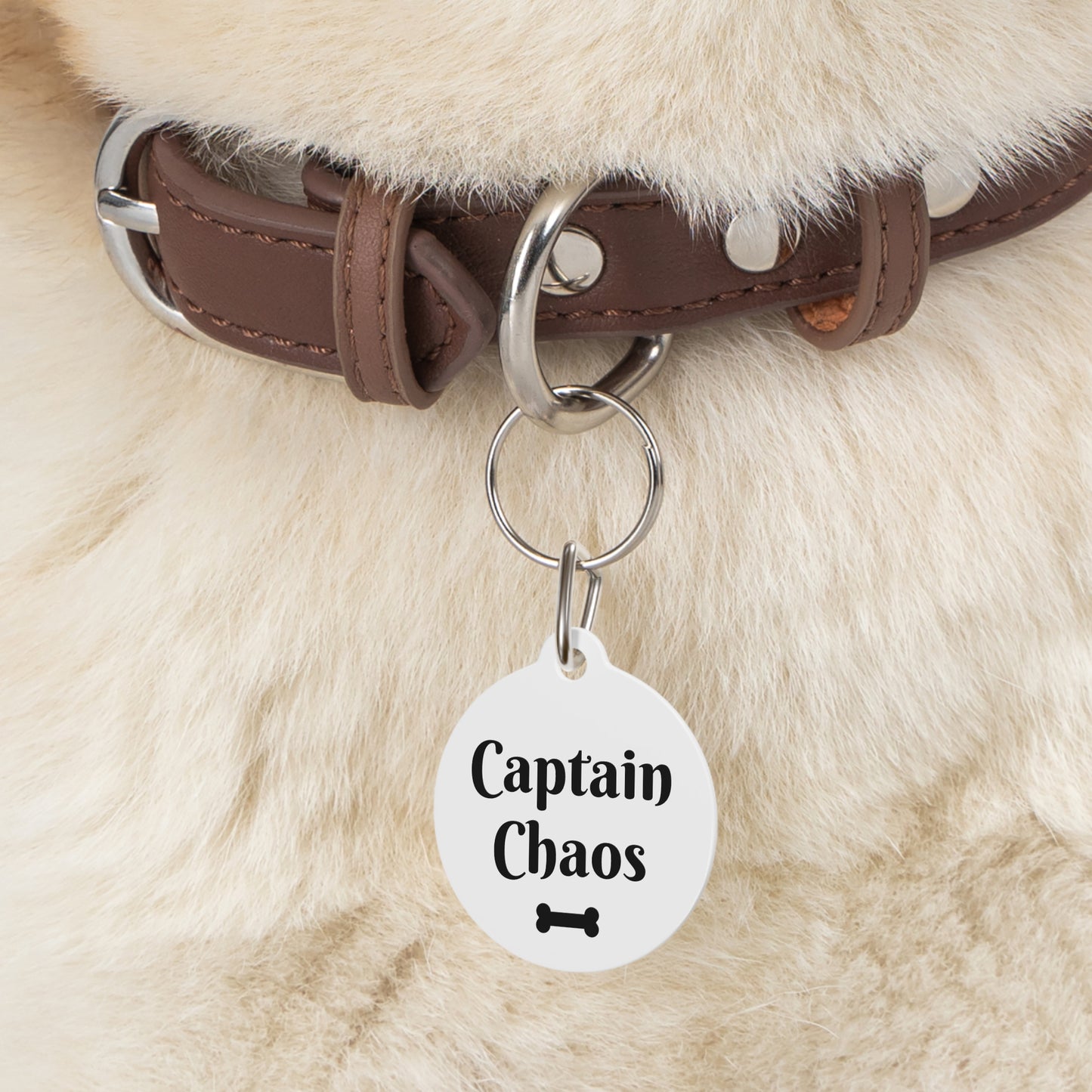 Funny Dog Tag "Captain Chaos" (1 inch)