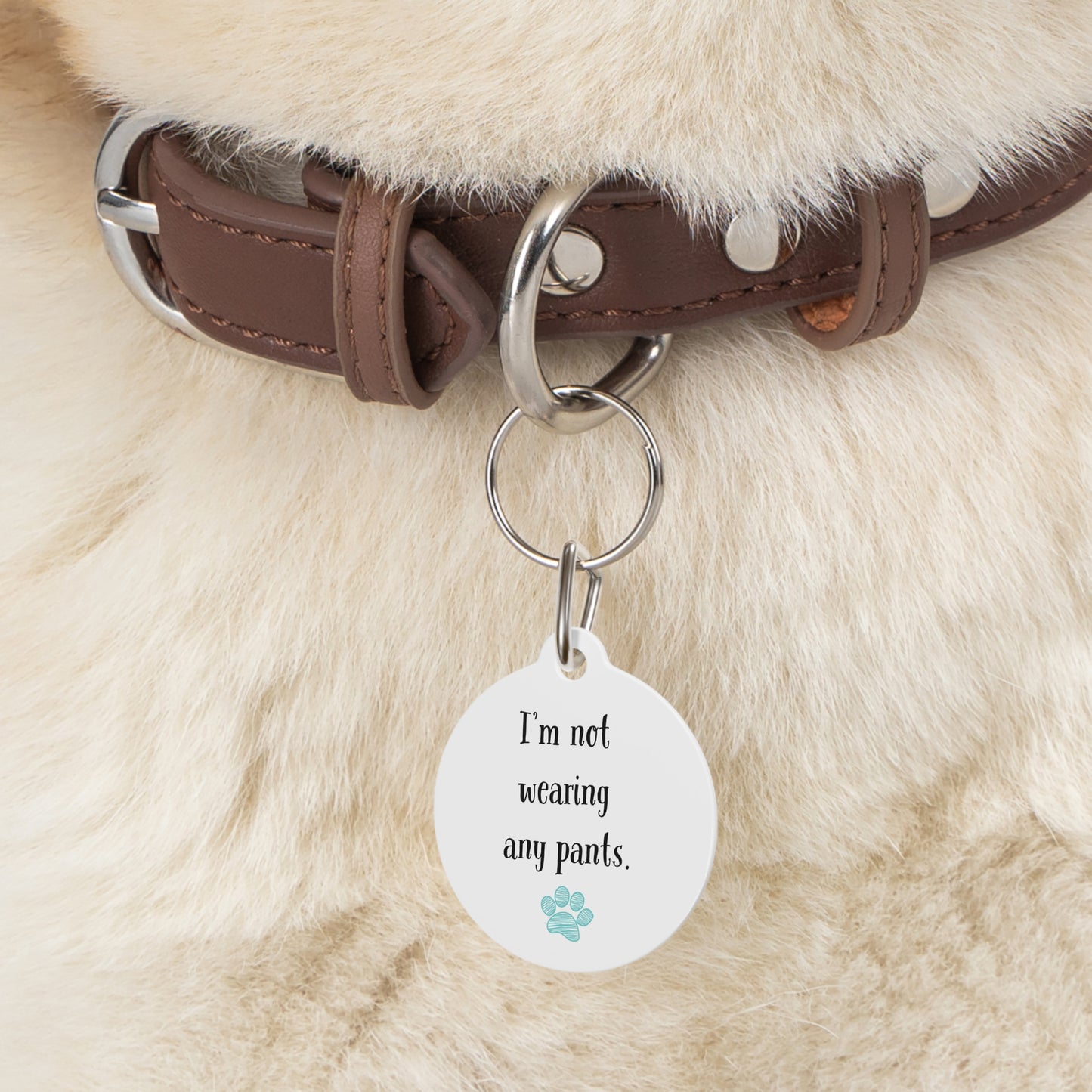 Funny Dog Tag "I'm not wearing any pants." (1 inch)