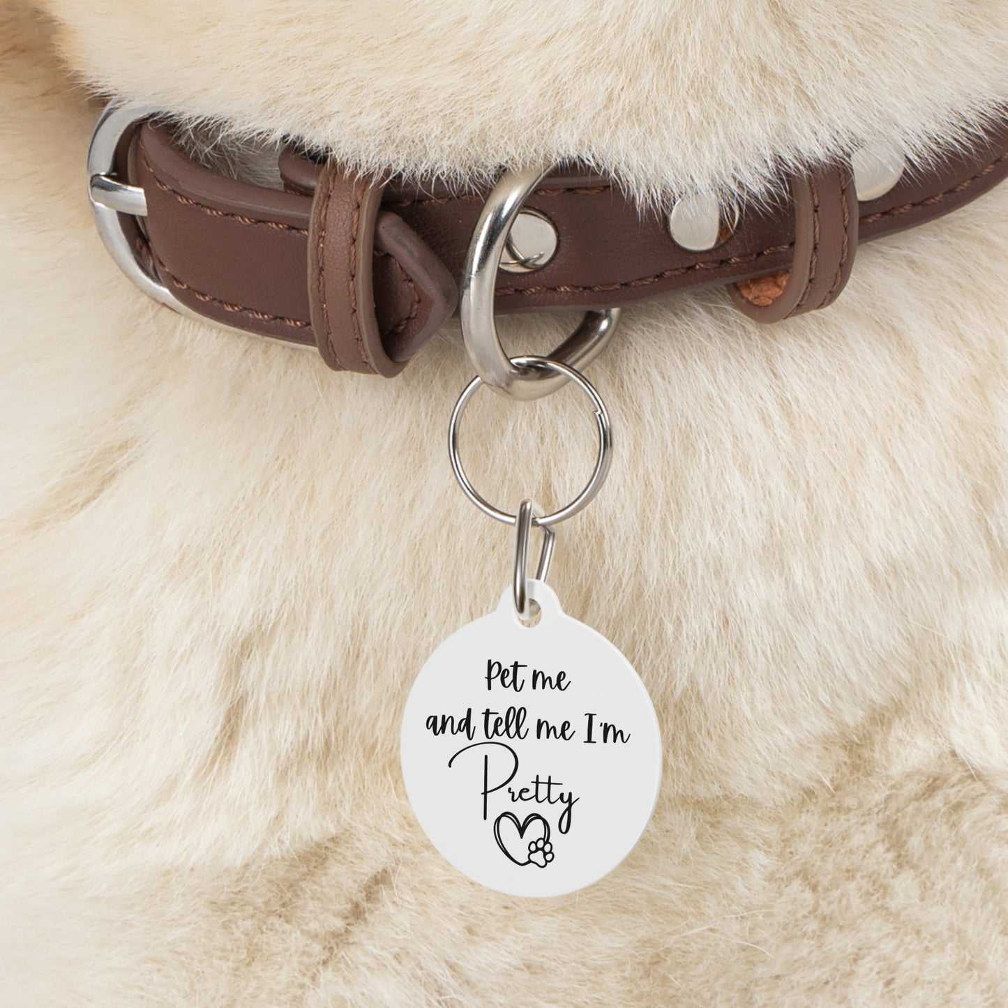 Funny Dog Tag "Pet me and tell me I'm pretty." (1 inch)