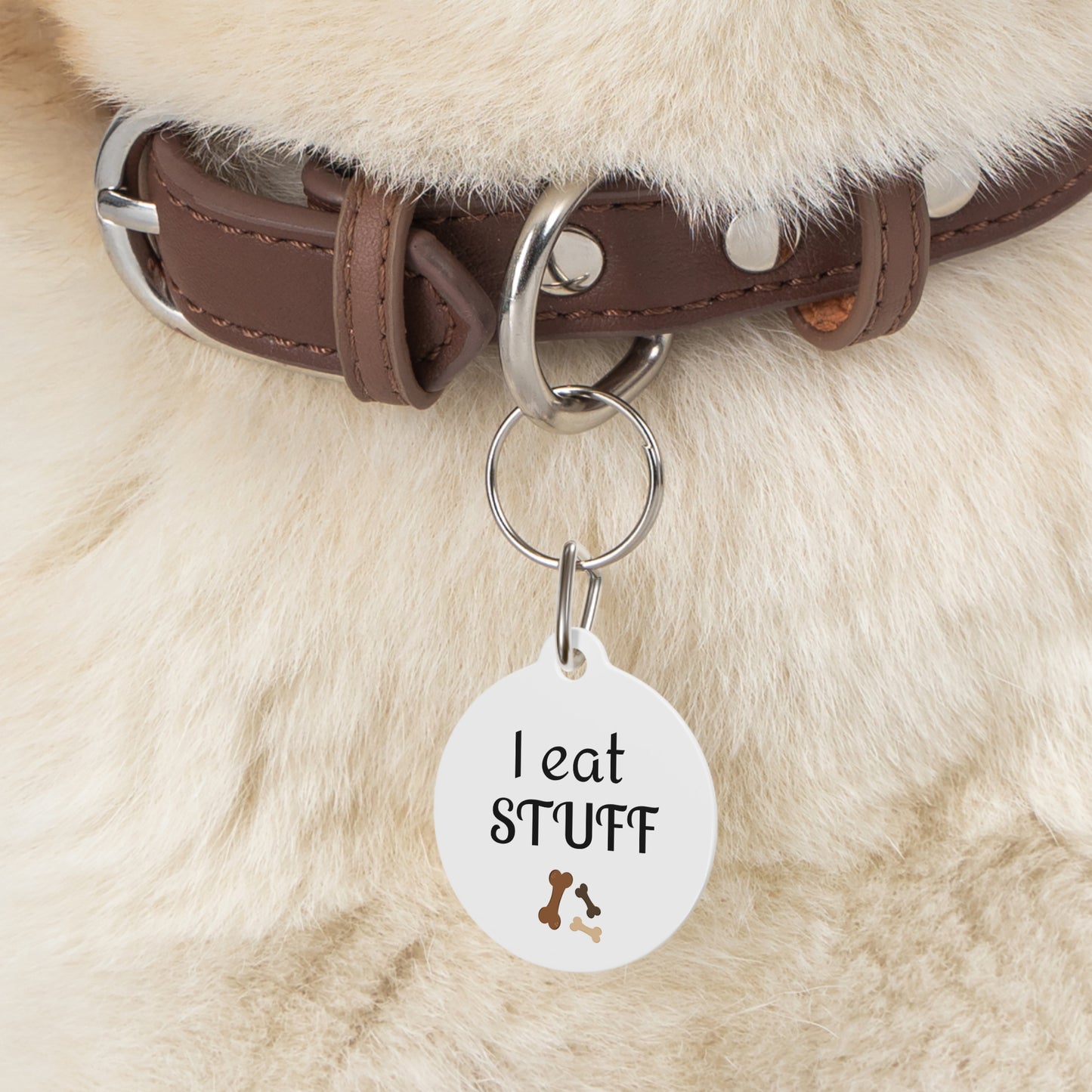 Funny Dog Tag "I Eat Stuff" (1 inch)