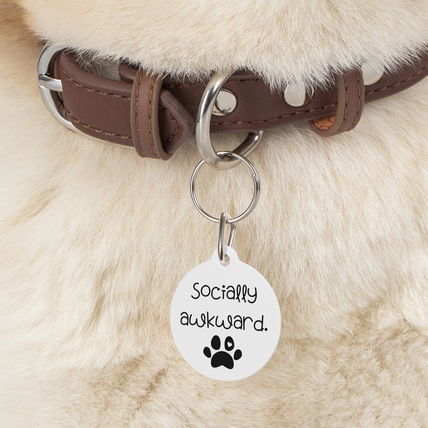 Funny Dog Tag ''Socially awkward."  (1 inch)