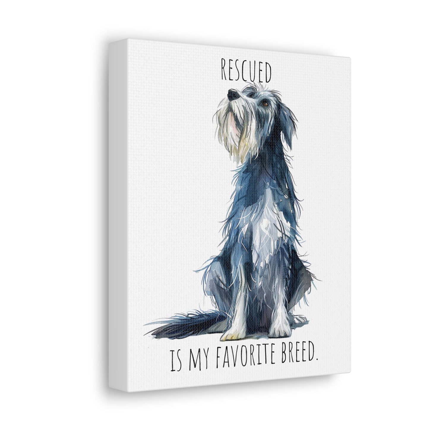 Canvas Gallery Wrap - Shaggy Dog Collection - Rescued Is My Favorite Breed