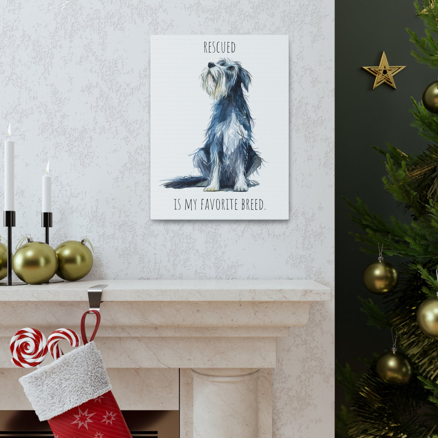 Canvas Gallery Wrap - Shaggy Dog Collection - Rescued Is My Favorite Breed